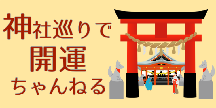 cook 今日なに作ろ？